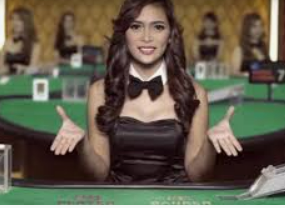 k·yun新网站登录下载app2024最新版